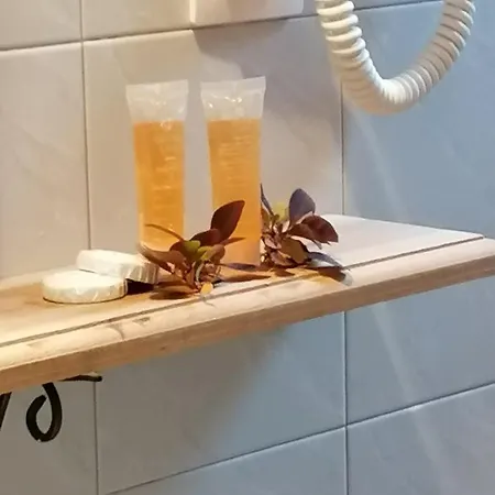 το πατρικό