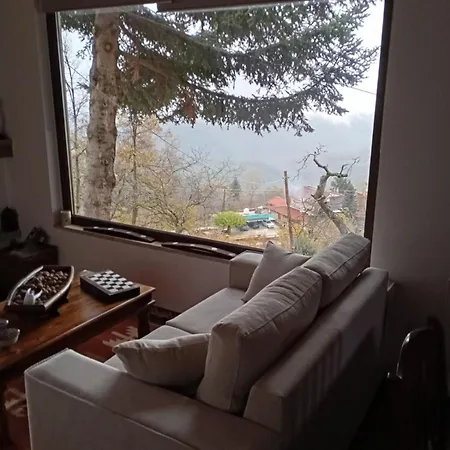 το πατρικό Synikia Mesi Trikalon