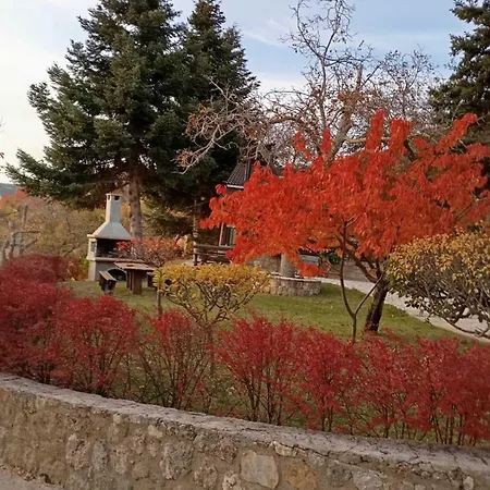 το πατρικό Synikia Mesi Trikalon