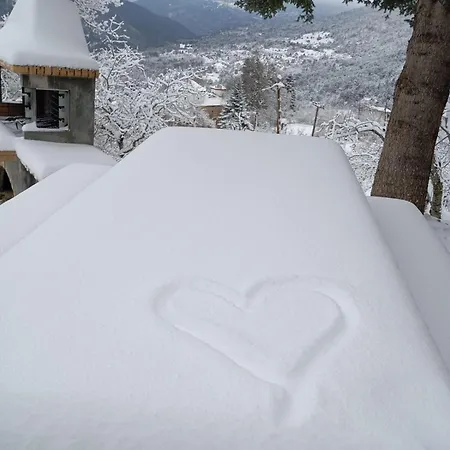 Сasa de vacaciones το πατρικό Synikia Mesi Trikalon