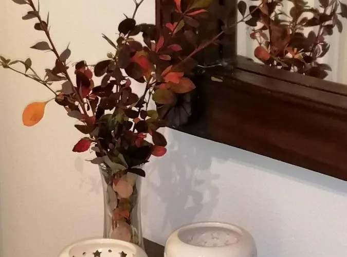 το πατρικό בית נופש