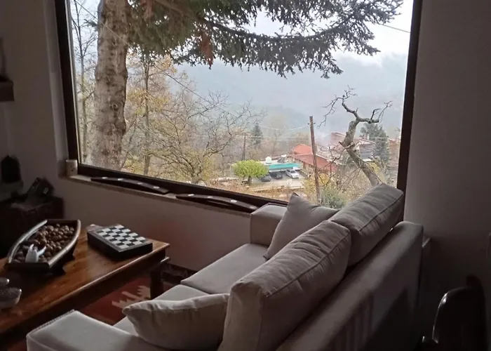 το πατρικό Synikia Mesi Trikalon